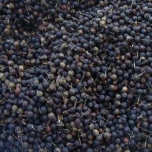 PIPER CUBEBA