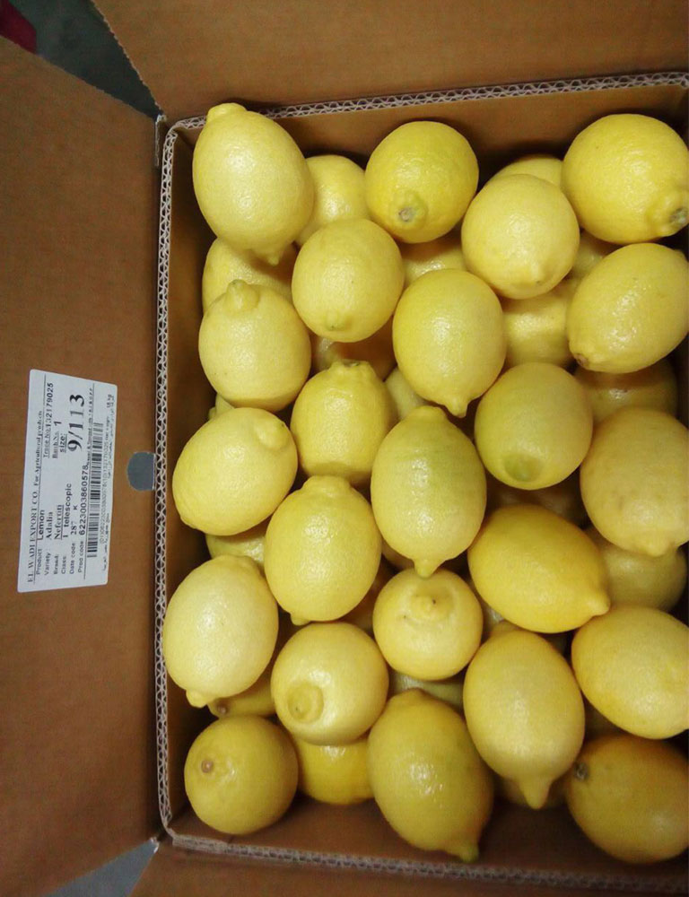 Lemons - Image 2
