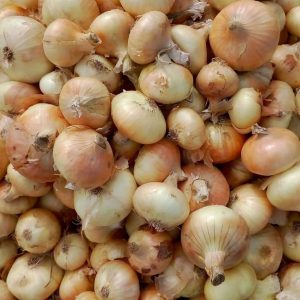 Onions