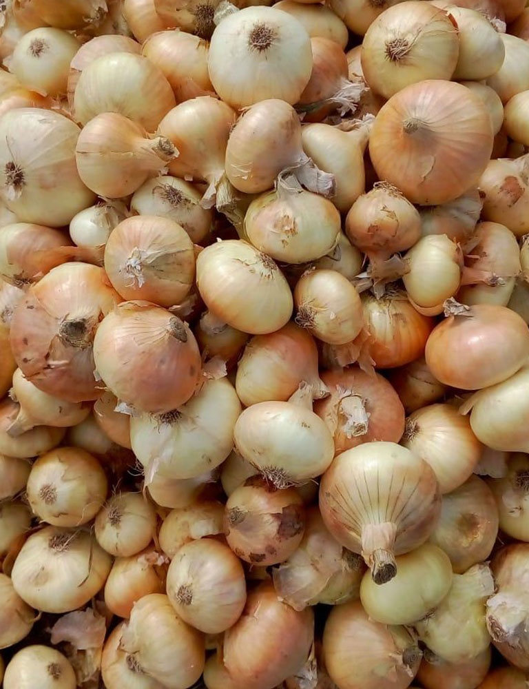 Onions
