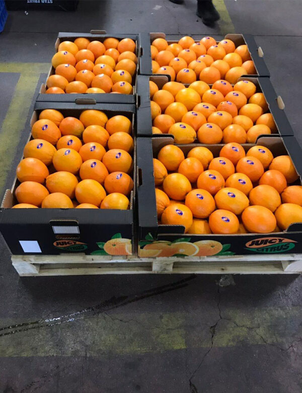 Oranges - Image 2