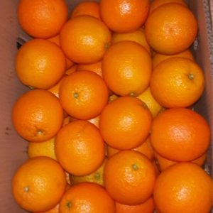 Oranges