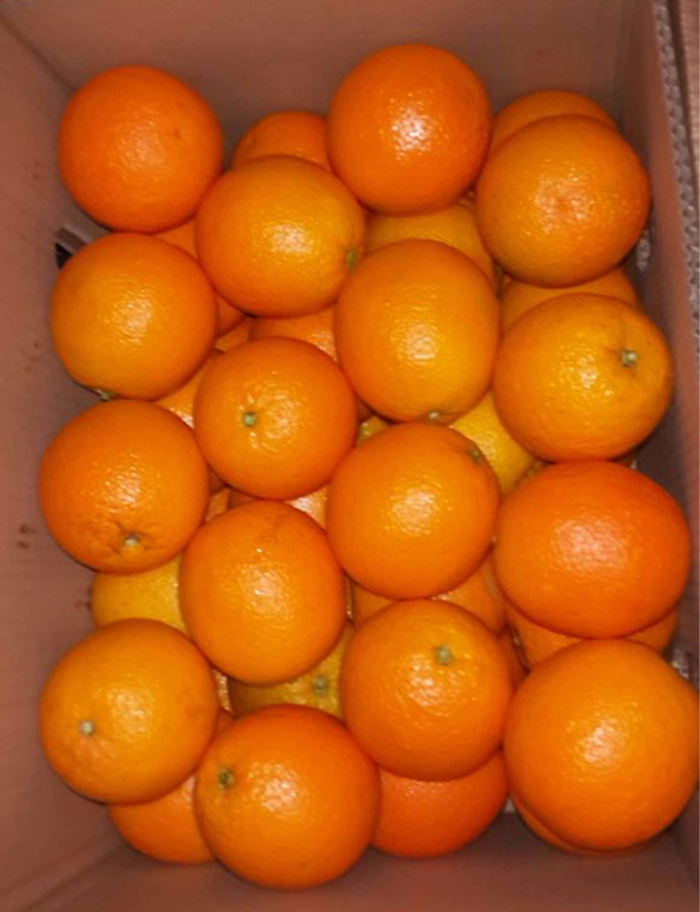 Oranges
