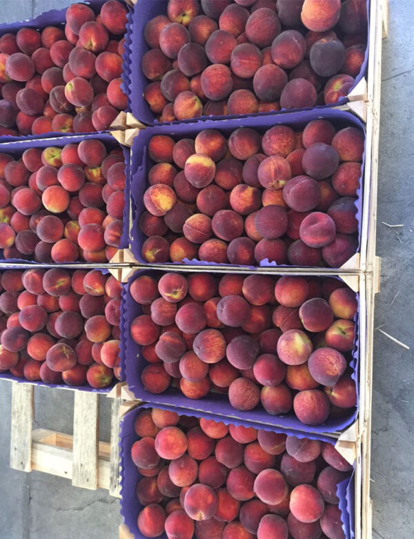 Peaches - Image 2