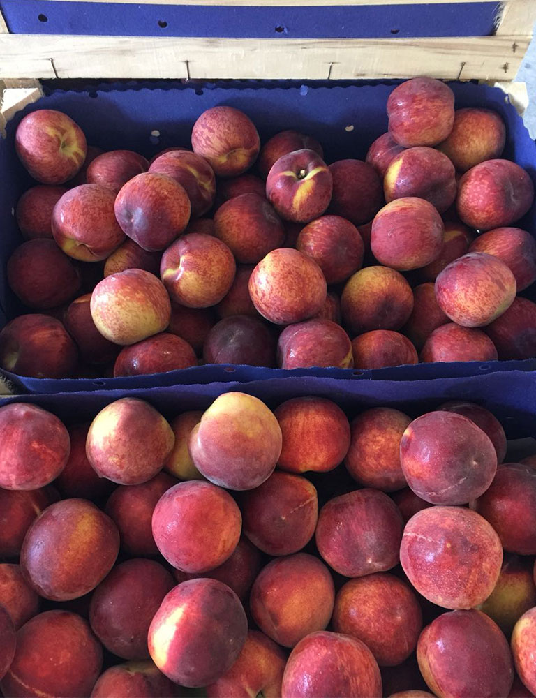 Peaches