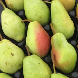 Pears