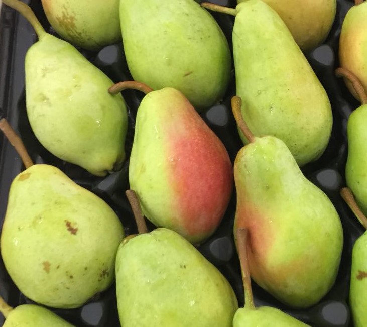 Pears