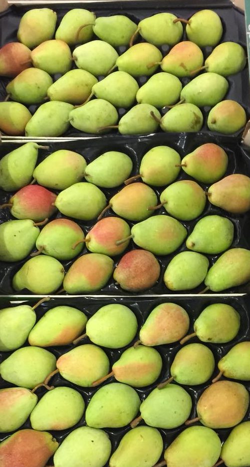 Pears - Image 2
