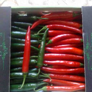 Fresh pepper