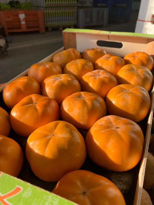 Persimmon - Image 2