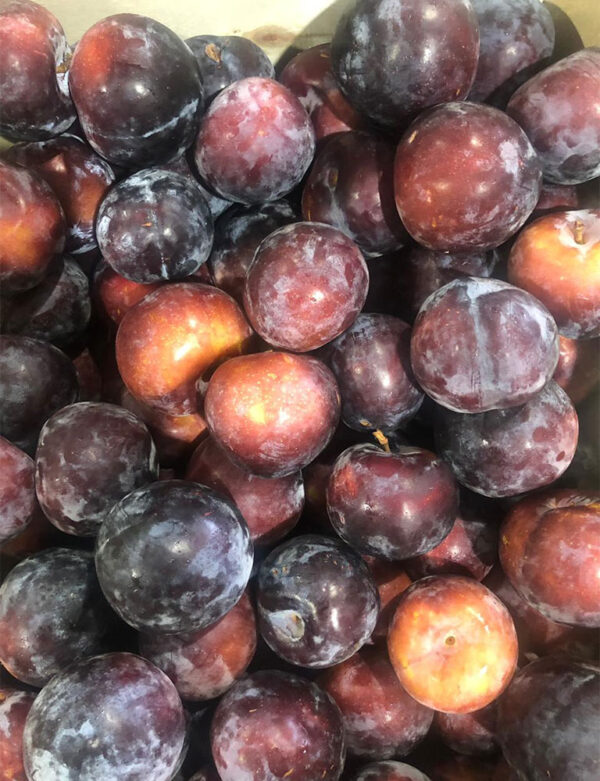 Plums - Image 3