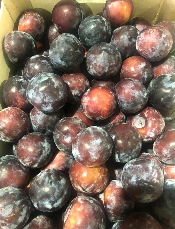 Plums - Image 2