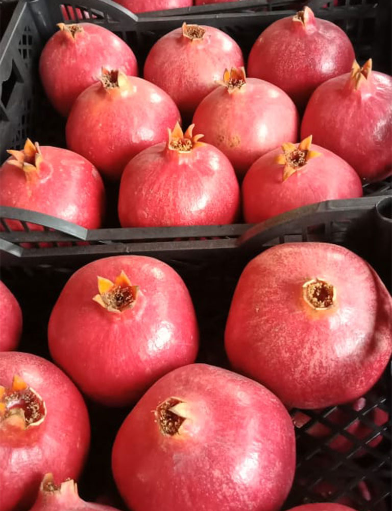 Pomegranates