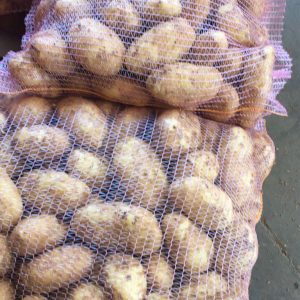 Potatoes