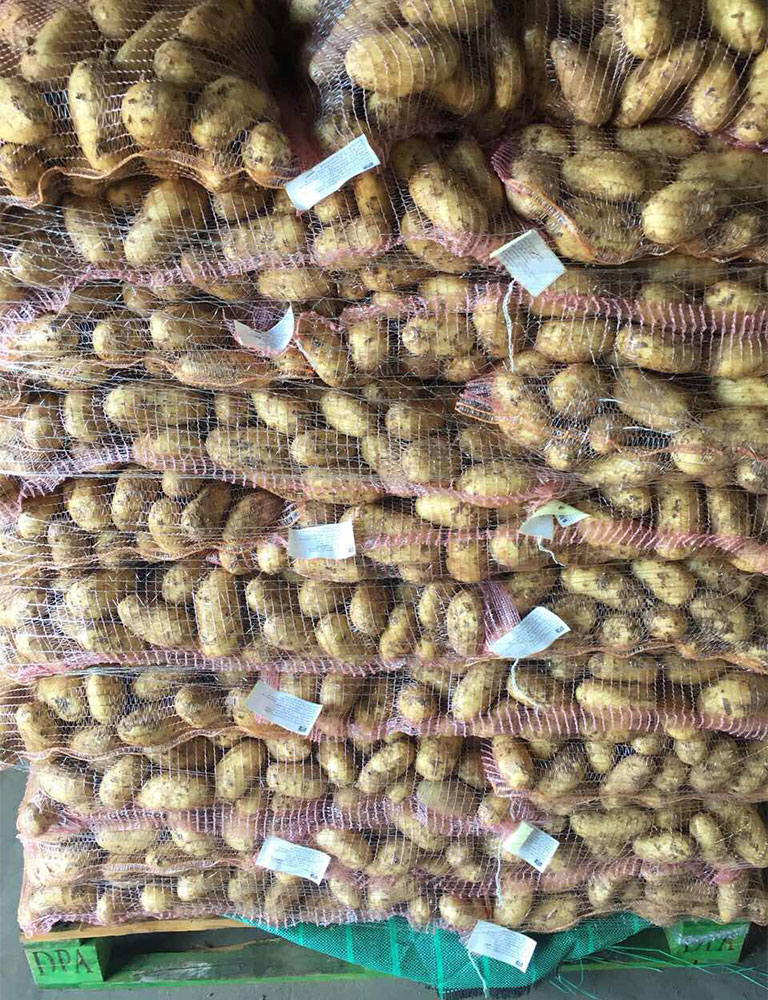 Potatoes - Image 2