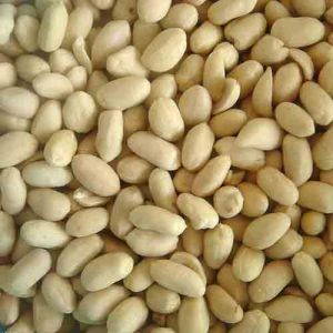 blanched peanuts 25/29