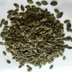 Snow White Pumpkin Seeds 11cm