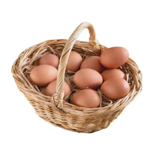 FRESH CHICKEN EGGS