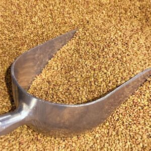 Alfalfa Seeds