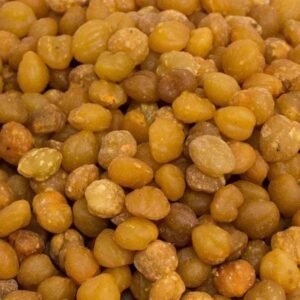 Akpi Seed