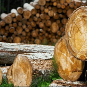 Locust Logs