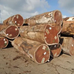 Iroko Wood