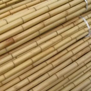 Bamboo Stick