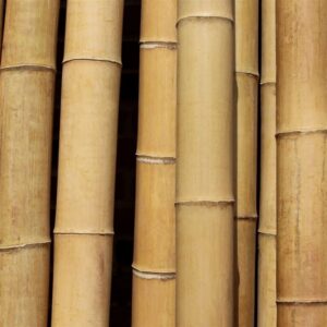 Bamboo Poles